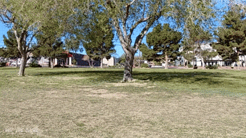 offthejacks chevrolet chevy camaro red car GIF