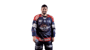 Ducs2026 Sticker by Les Ducs d'Angers