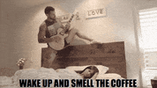 mbest11x coffee or die GIF by Black Rifle Coffee Company