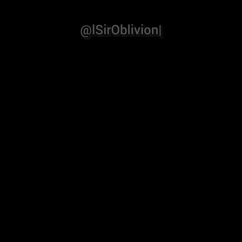 Seal GIF