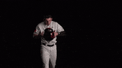 University Of Louisville Baseball GIF by Louisville Cardinals