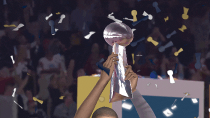 Super Bowl Touchdown GIF by Manny404