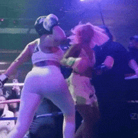 Fight Summer GIF