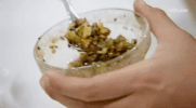viceland GIF by Bong Appétit