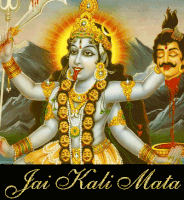 Kali GIF
