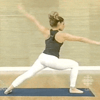 Get Fit Downward Dog GIF by Trish Stratus