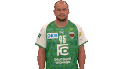 Handball-Bundesliga Berlin Sticker by LIQUI MOLY HBL