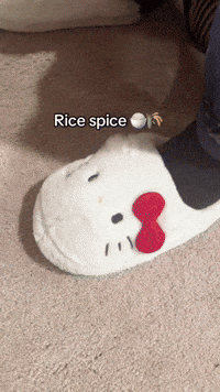 Bobby Lee Asian Dad GIF