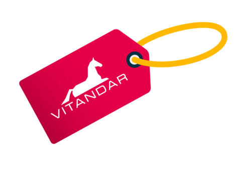 Horse Sale Sticker by vitandar