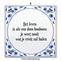 Humor Moment GIF by Tegelspreuken.nl