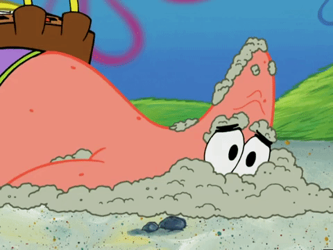 season 4 GIF by SpongeBob SquarePants