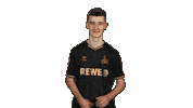 Football Hello Sticker by Bundesliga