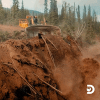 Gold Rush GIF by Discovery