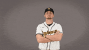 Cal State La Baseball GIF by Cal State LA Golden Eagles