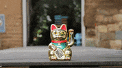 museomufi  GIF