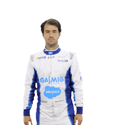 Driver Piloto Sticker by Porsche GT3 Cup Brasil