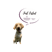 Bhhscarealty Sticker by Berkshire Hathaway HomeServices California Realty
