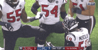 Houston Texans Football GIF by NFL