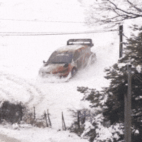 Never Give Up Snow GIF by FIA World Rally Championship