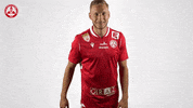 Michael Huber Celebration GIF by grazerak