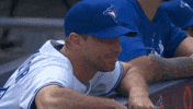 Blue Jays Smile GIF by Toronto Blue Jays