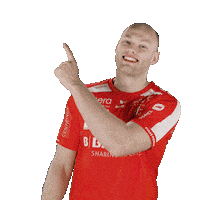 Handball Arnar Sticker by MT Melsungen