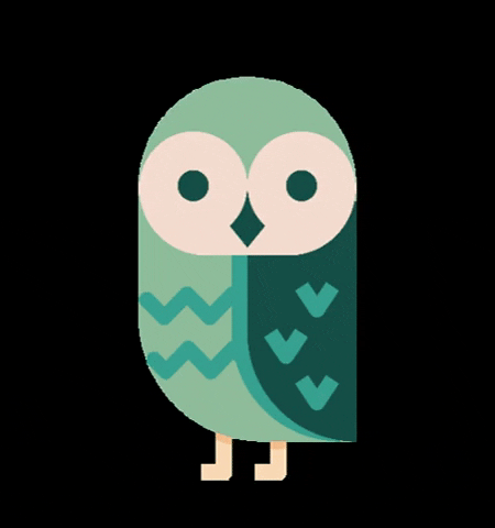 Woodlymaterial nature walk owl woodly GIF