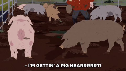 farm pigs GIF by South Park 