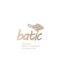 Batic2026 Sticker by BATIC EVENTS