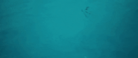 pink and blue GIF by Tycho