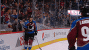 ice hockey sport GIF by Colorado Avalanche