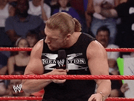 triple h wrestling GIF by WWE