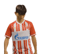 Football Sport Sticker by FK Crvena zvezda