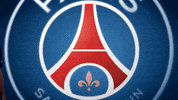 uwe gensheimer fun GIF by Paris Saint-Germain Handball
