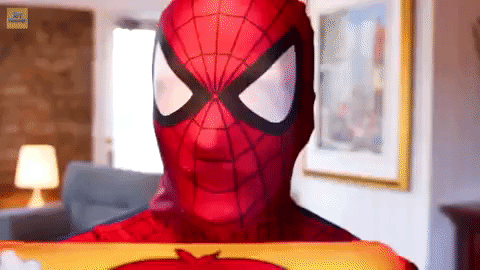 GIF by Webs & Tiaras