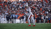 Field Goal Football GIF by New England Patriots
