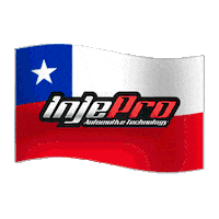 Chile S3000 Sticker by Injepro