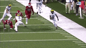 Go Blue Michigan Football GIF by Michigan Athletics