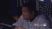 Major League Baseball Reaction GIF by Detroit Tigers