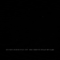 black and white wow GIF