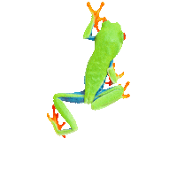 Jump Bounce Sticker by Avonturia