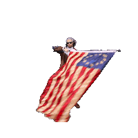 American Flag Usa Sticker