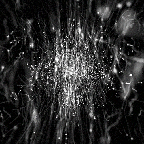 art swimming GIF by commotion.tv