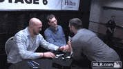 cws GIF by MLB