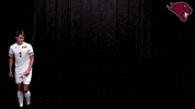 College Sports Sport GIF by CUCougars