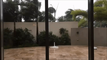 Hurricane Irma Winds Whip Trees in San Juan