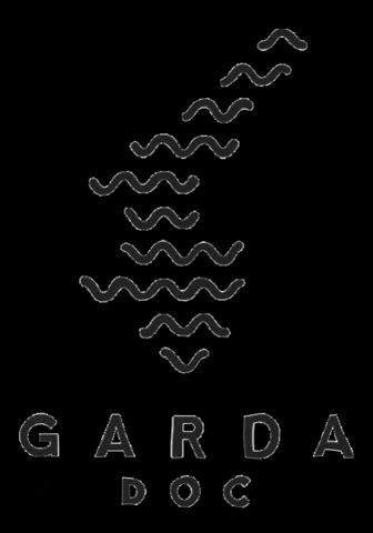 GARDADOC giphygifmaker garda doc GIF