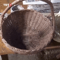 Go Get Out GIF by TRT