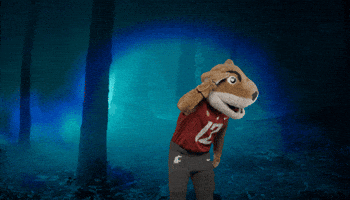 Washington State Go Cougs GIF by WSU Pullman