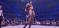 All Elite Wrestling GIF by AEWonTV